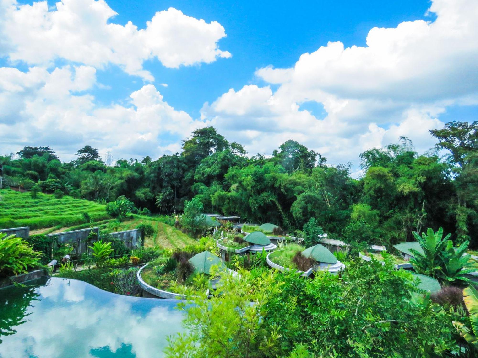 De Moksha Eco Friendly Boutique Resort Tanah Lot Rum bild