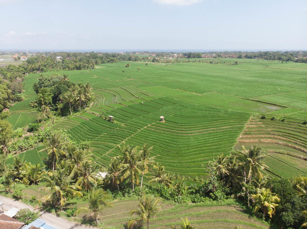 De Moksha Eco Friendly Boutique Resort Tanah Lot Exteriör bild