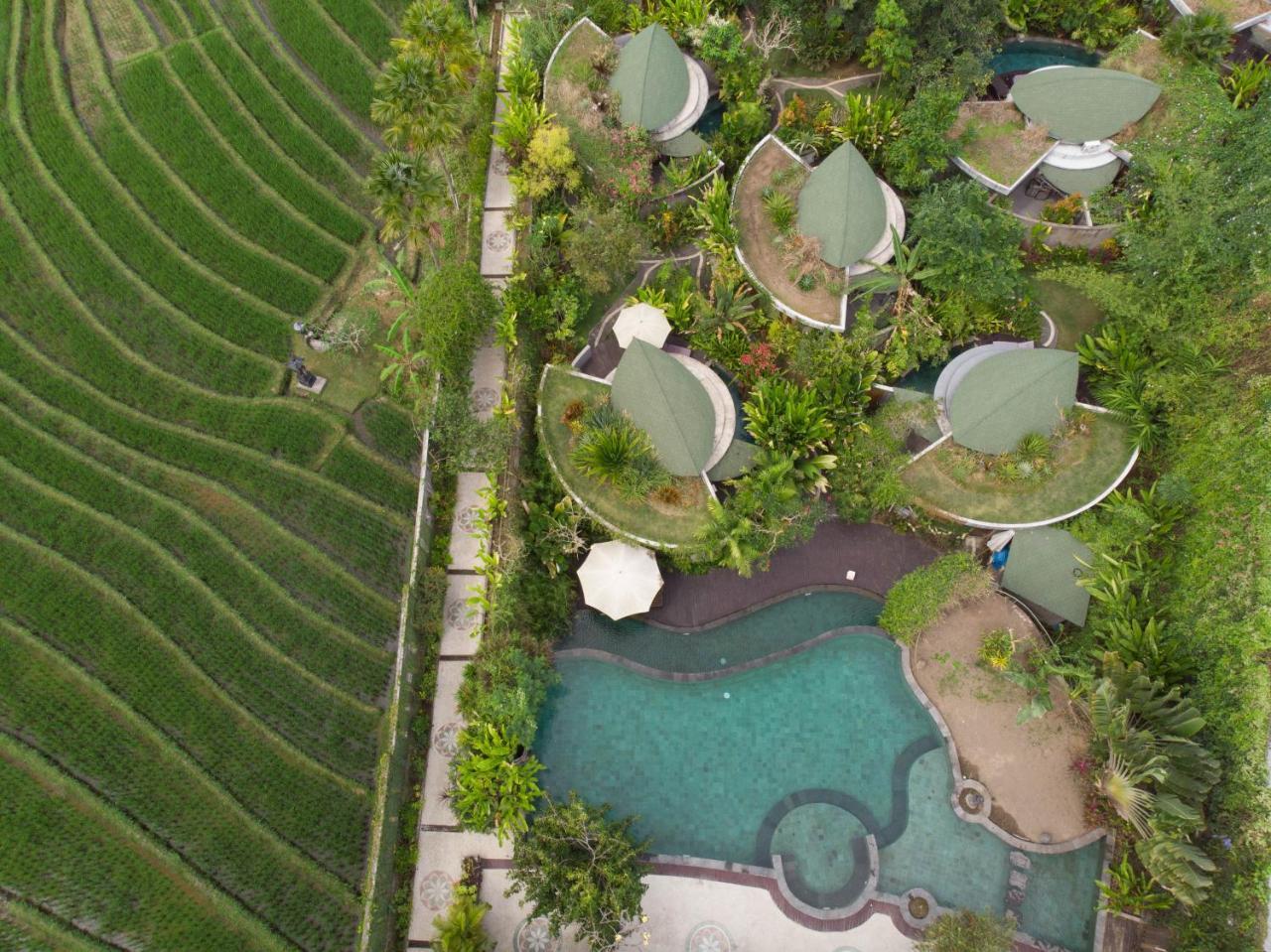 De Moksha Eco Friendly Boutique Resort Tanah Lot Exteriör bild